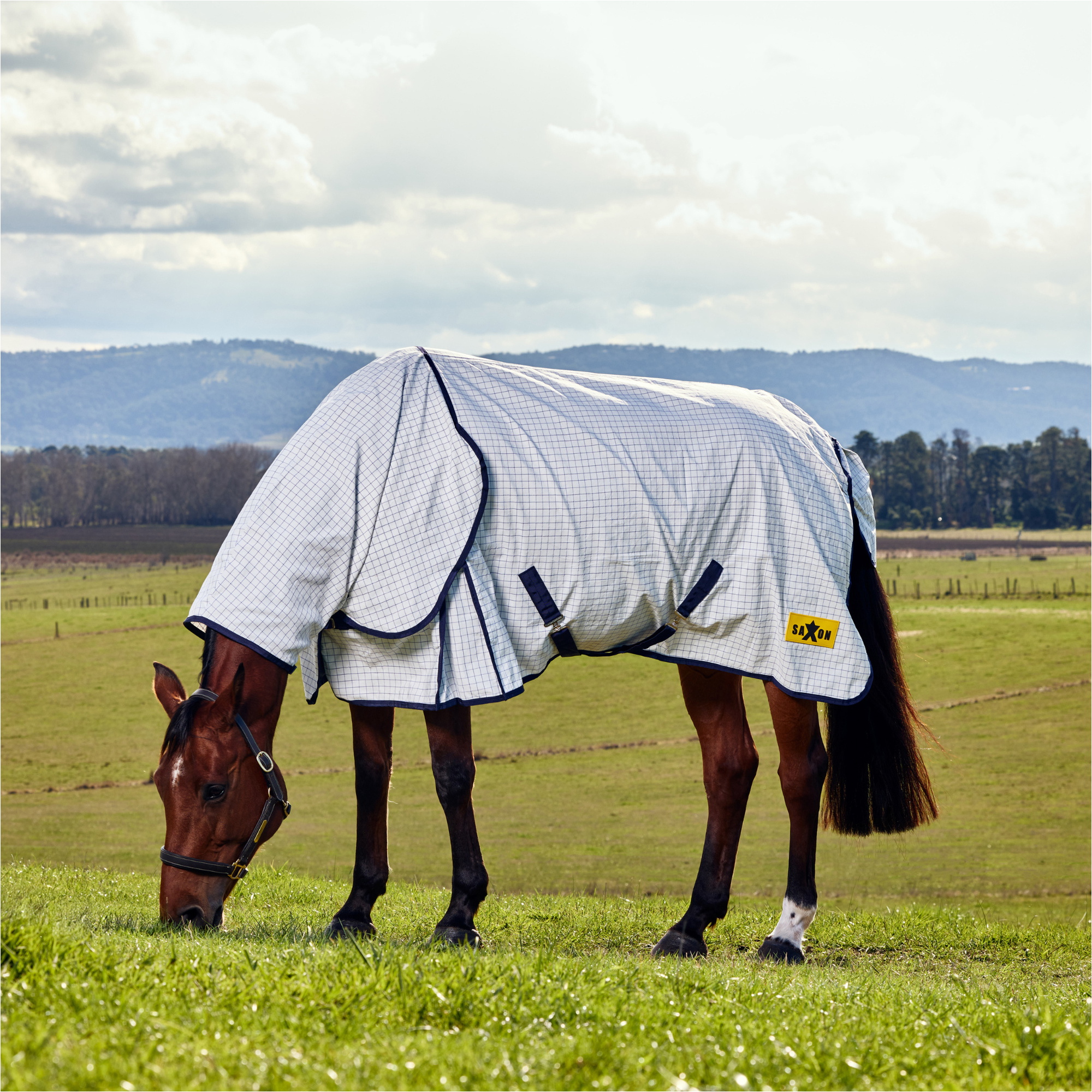 2026 Saxon Kool Coat Classic With Surcingles Combo Turnout Rug 1029980 - White / Navy